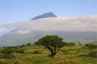 Urlaub auf Insel Pico, Azoren