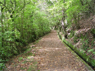 Levada Wanderung
